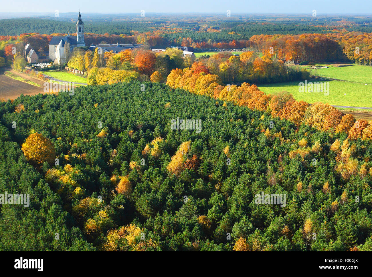 Abtei Averbode, Wald aus der Luft im Herbst, Belgien, Averbode Stockfoto