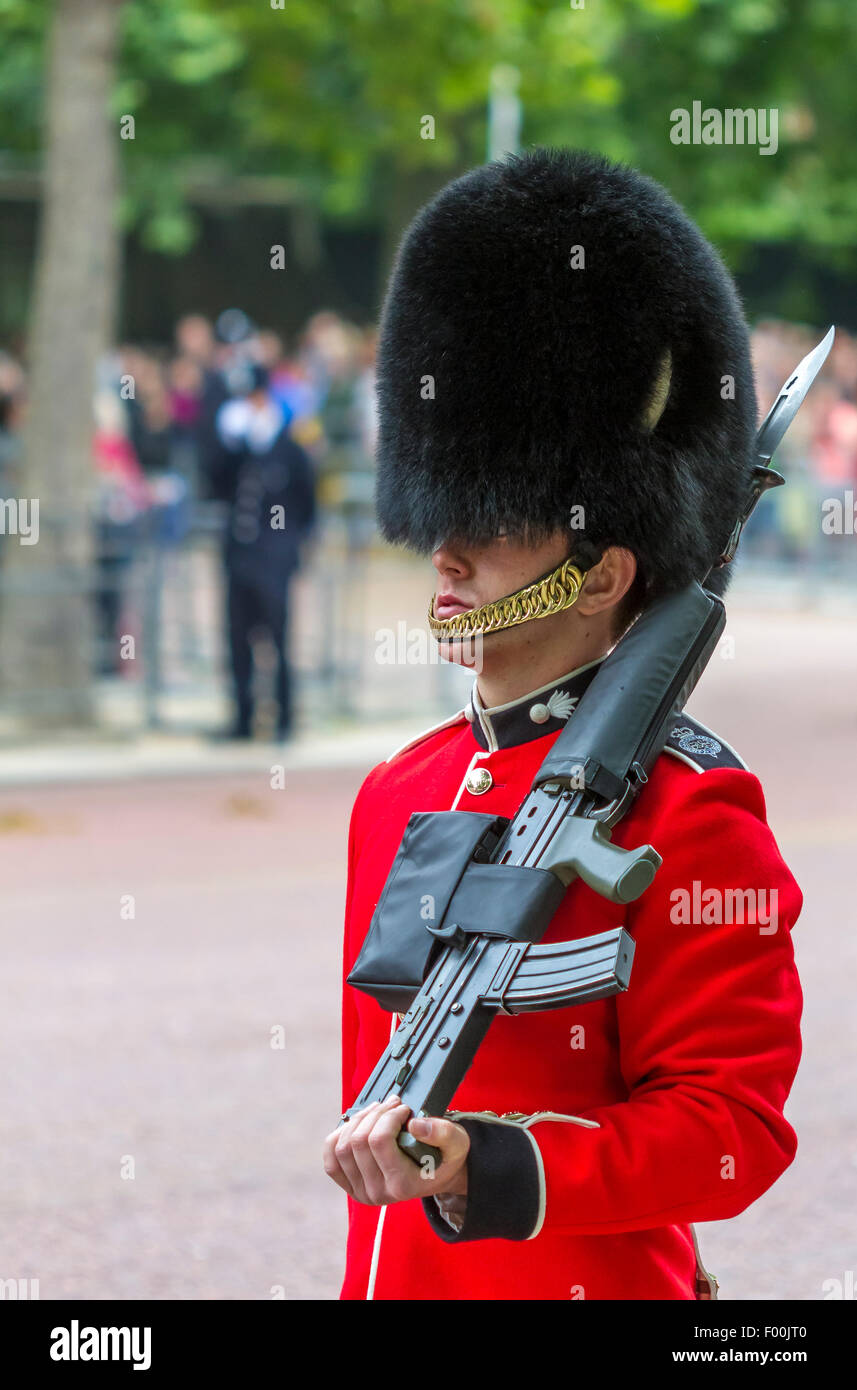 Ein Soldat der Grenadier Guards bei der Parade zur Queen's Birthday Parade, auch bekannt als Trooping the Color on the Mall, London, Großbritannien Stockfoto