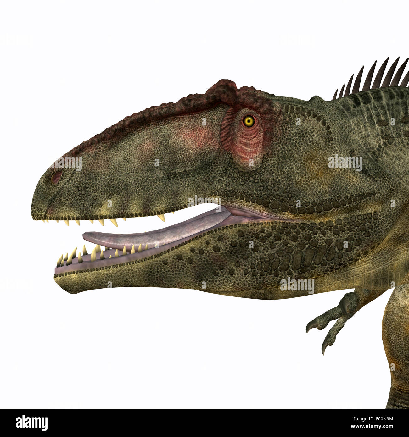 Giganotosaurus war ein theropoder fleischfressender Dinosaurier, der in