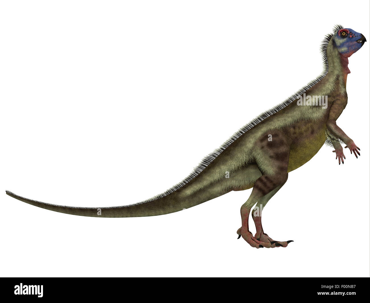 Hypsilophodon war ein Allesfresser Dinosaurier, die in der Kreidezeit Periode England lebte. Stockfoto