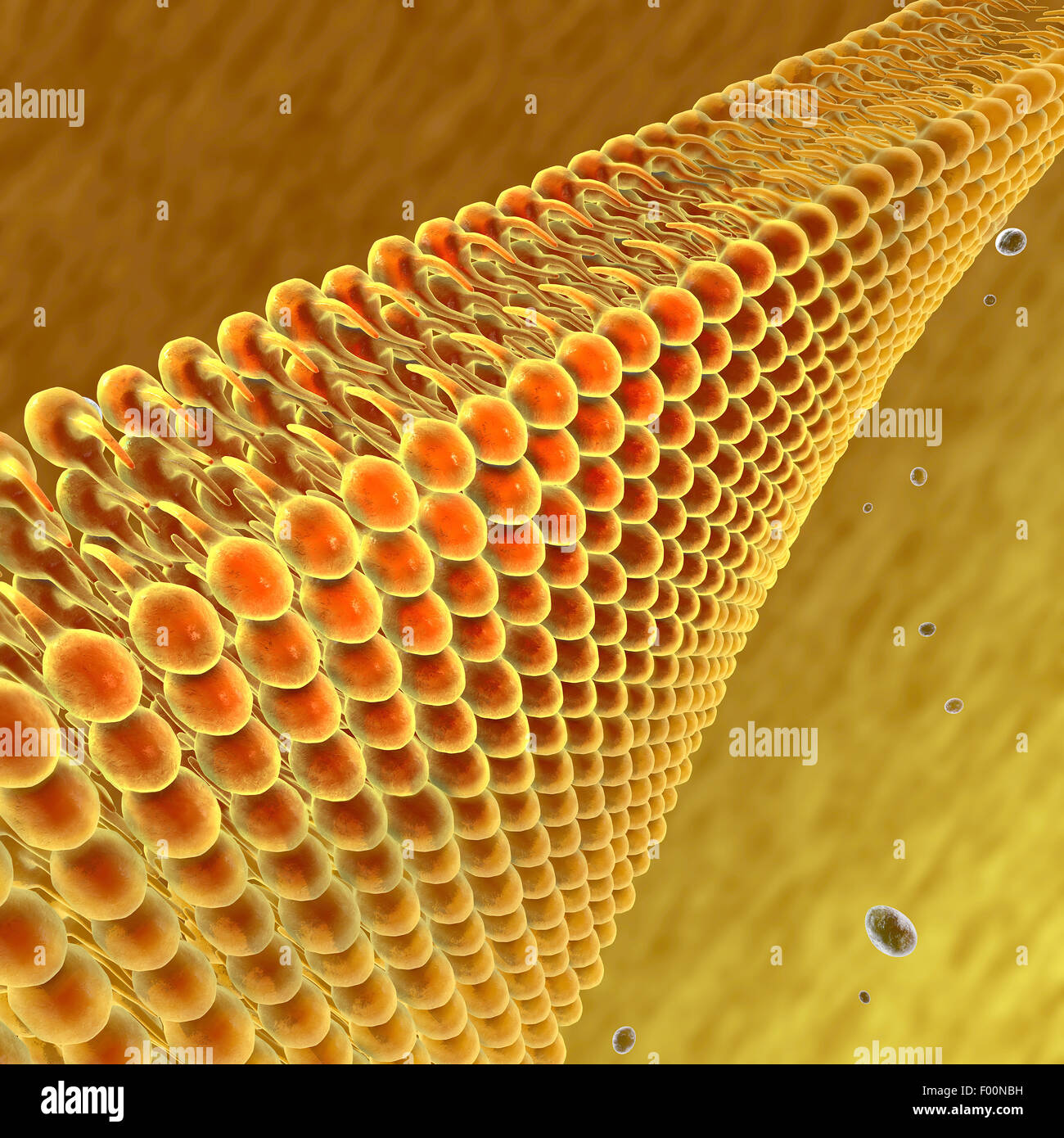 3D Lipide und Fette unter einem Mikroskop betrachtet Stockfoto