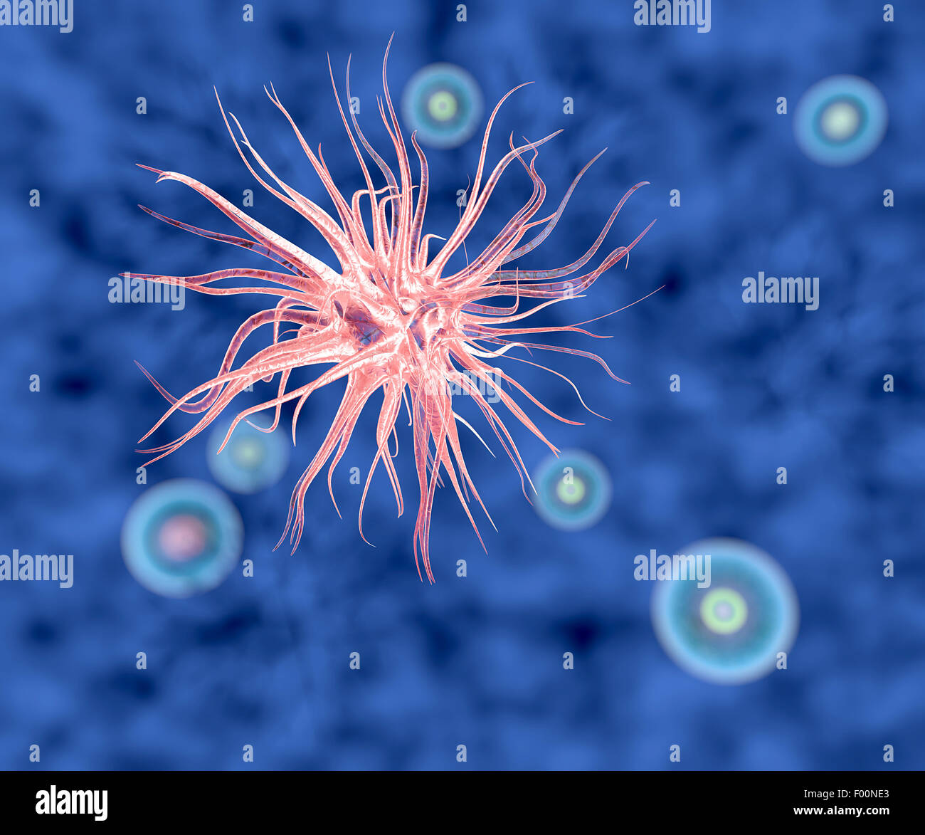 3D Virus Bakterien unter dem Mikroskop betrachtet Stockfoto