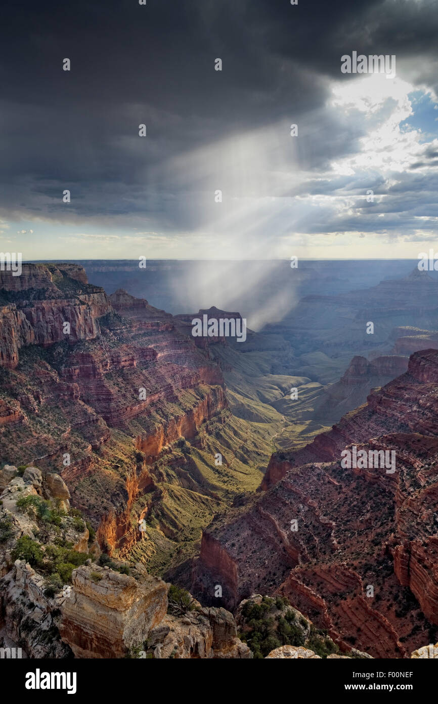 Vorbeifahrenden Regen Dusche - Cape Royal - North Rim des Grand Canyon, AZ Stockfoto