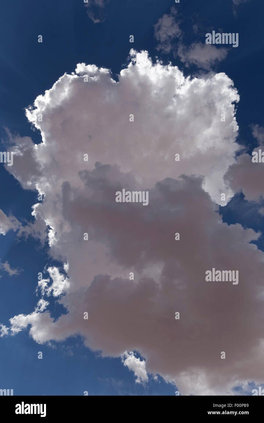 Hinterleuchtete Cumulus Congestus Wolke Stockfoto