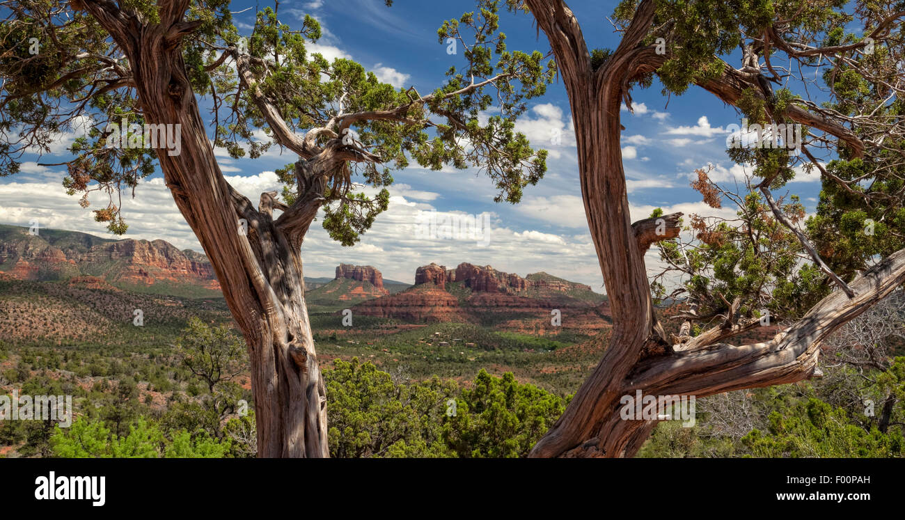 Sedona Vista, Arizona Stockfoto