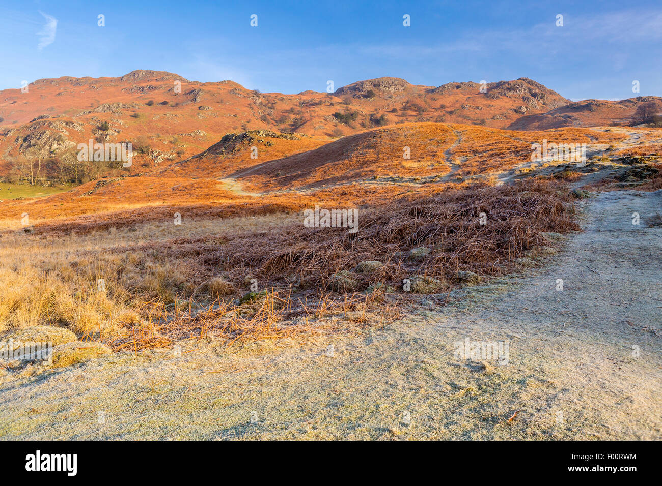Blick Richtung Loughrigg fiel, Elterwater, Nationalpark Lake District, Cumbria, England, Vereinigtes Königreich, Europa. Stockfoto