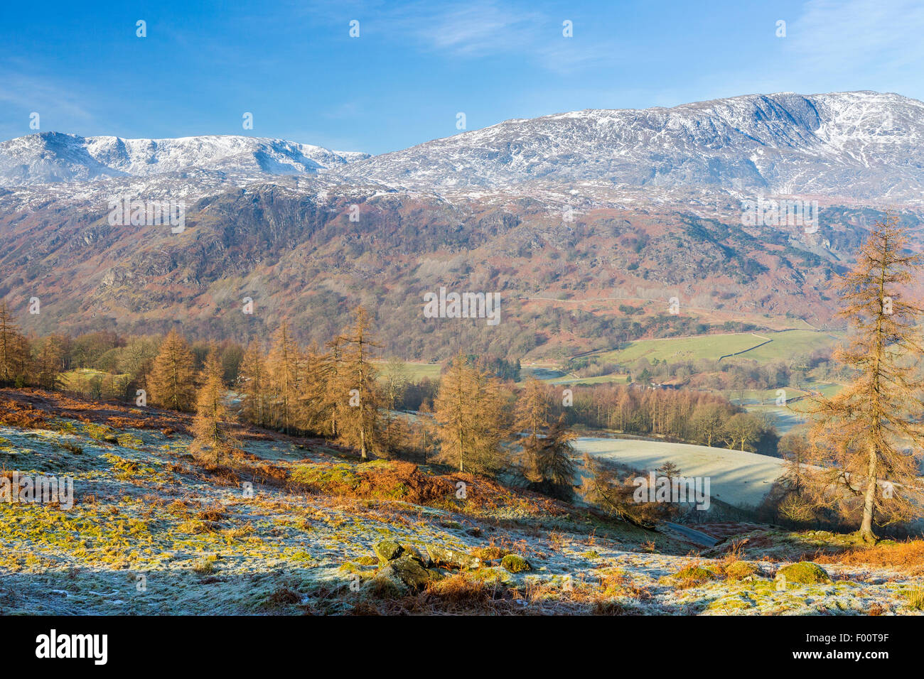 Ein Blick vom Tarn Hows Aufnahme in Richtung The Old Man of Coniston, Nationalpark Lake District, Cumbria, England, Vereinigtes Königreich, Eur Stockfoto