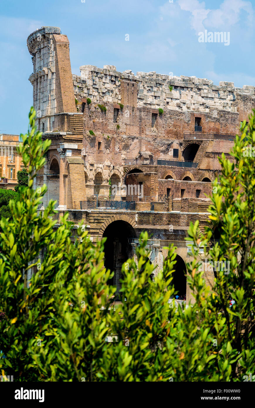 Kolosseum, Rom, Italien Stockfoto