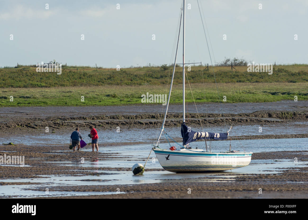 Mann und Frau aus dem Schlamm am Brancaster, Norfolk, England bei Ebbe Muscheln zu sammeln. Stockfoto