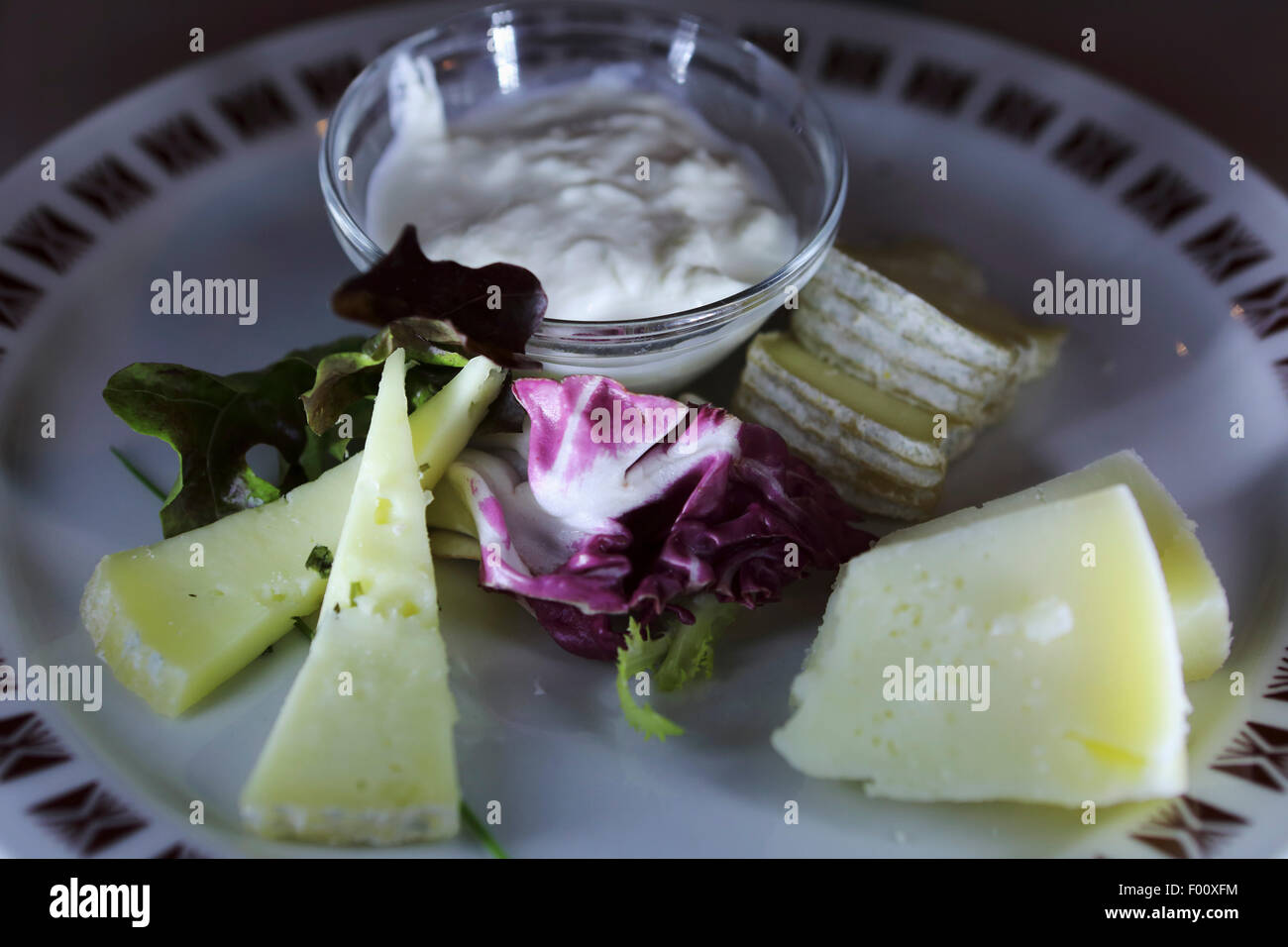 Eine Auswahl der apulischen Käsesorten, darunter eine Schüssel mit Stracciatella, in Apulien, Italien. Stockfoto