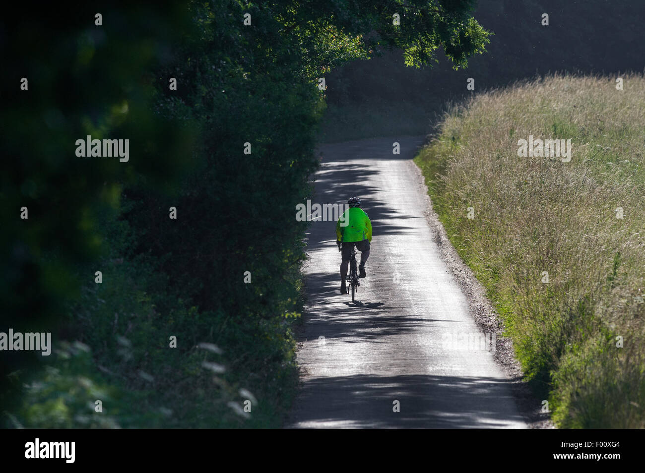 Männliche Radsportler, die auf einem Baum gesäumt Norfolk Feldweg eine helle fluoreszierende Jacke tragen. Stockfoto