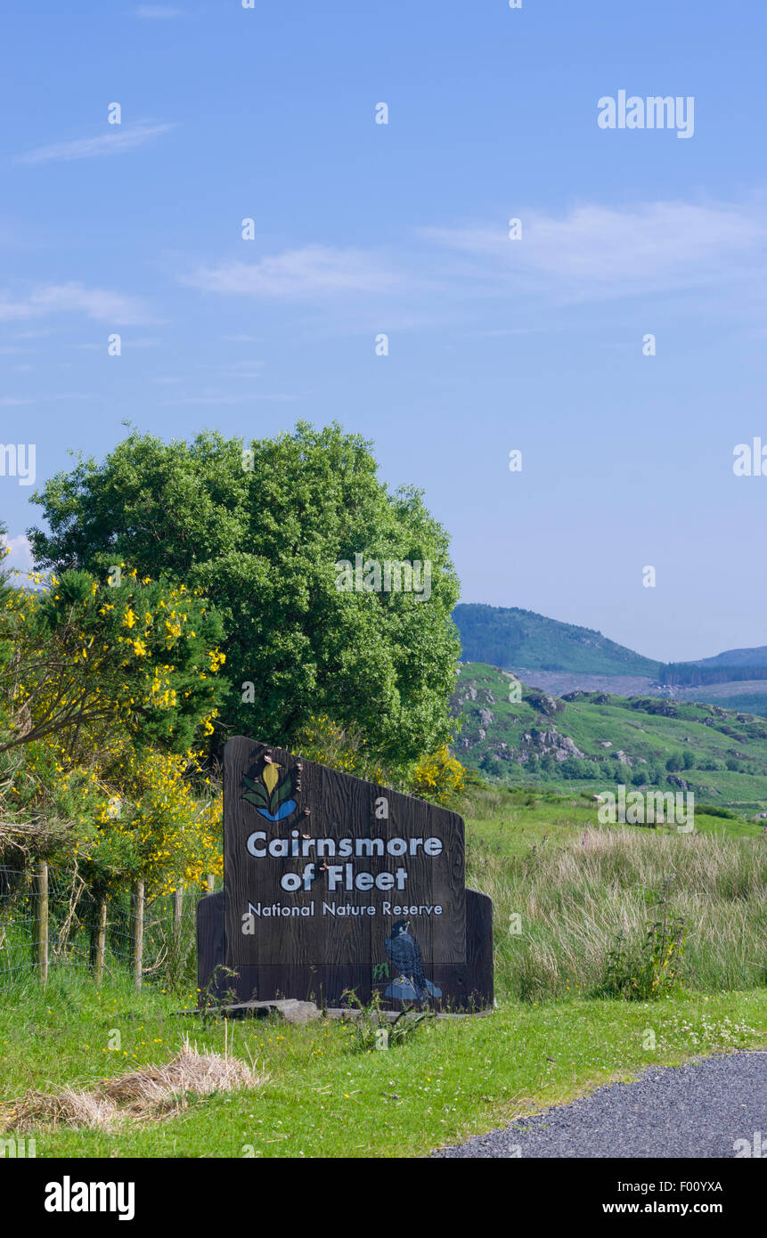 Cairnsmore der Flotte National Nature Reserve, Dumfries and Galloway, Schottland, Großbritannien Stockfoto