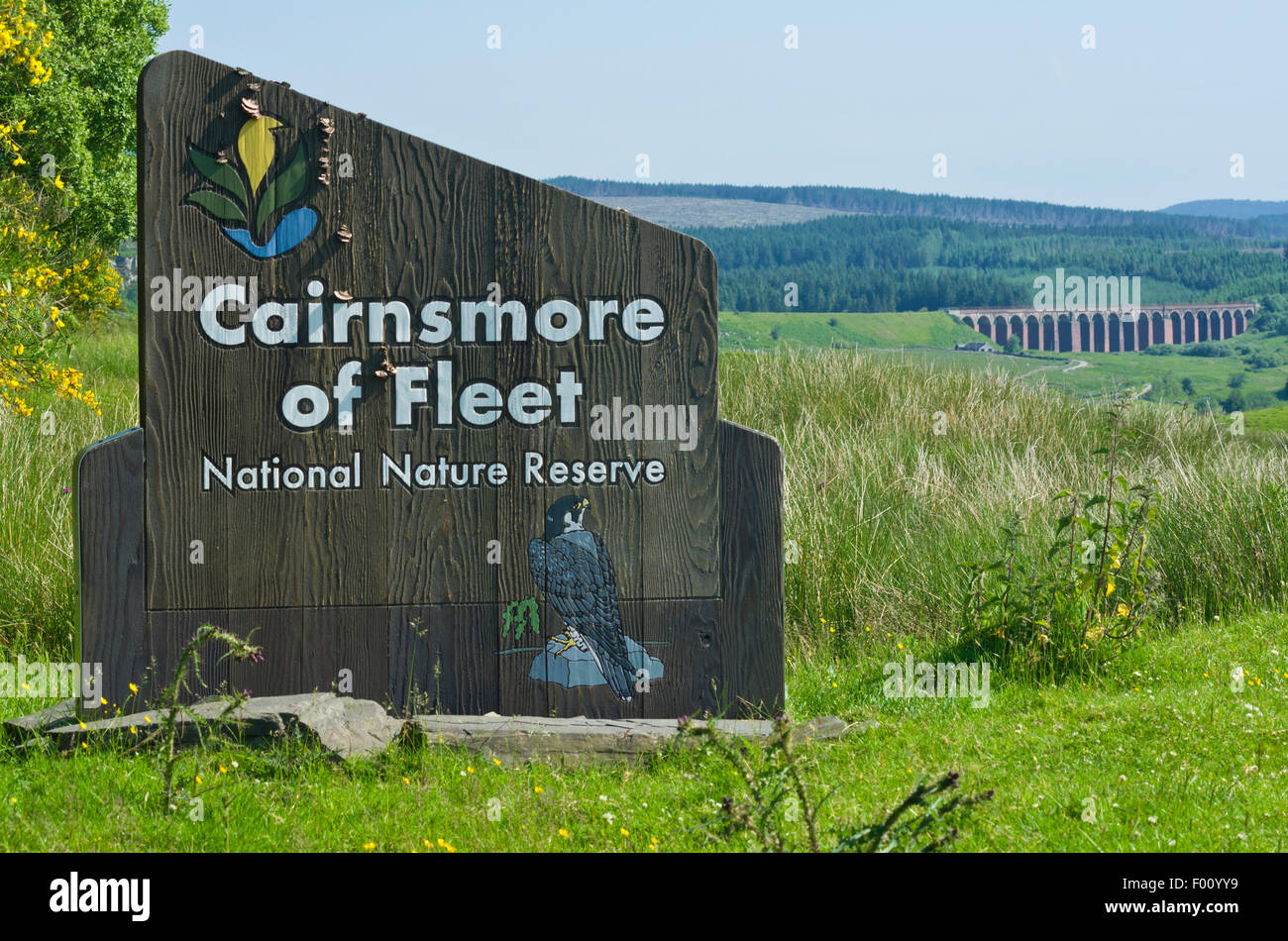 Cairnsmore der Flotte National Nature Reserve, Dumfries and Galloway, Schottland, Großbritannien Stockfoto