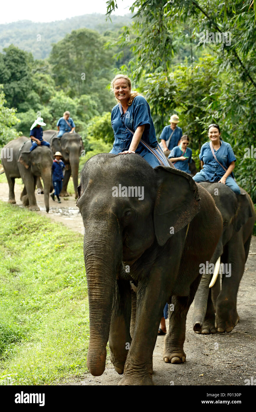 Menschen reiten Asiatischen Elefanten (Elephas maximus) im Dschungel, Thai Elephant Home, Keudchang Maetang, Chiang Mai, Thailand Stockfoto