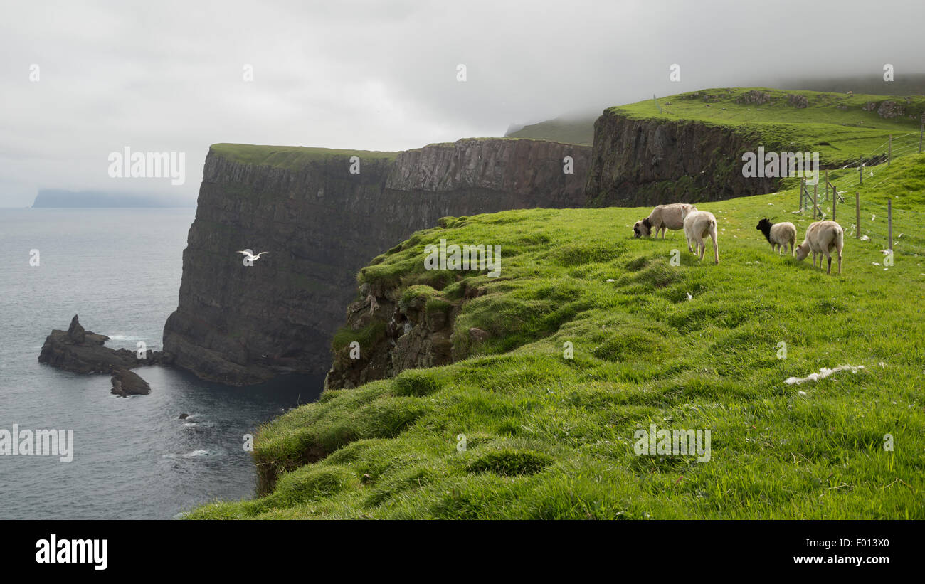 Mykene Insel Mykines insel -Fotos und -Bildmaterial in hoher Auflösung – Alamy