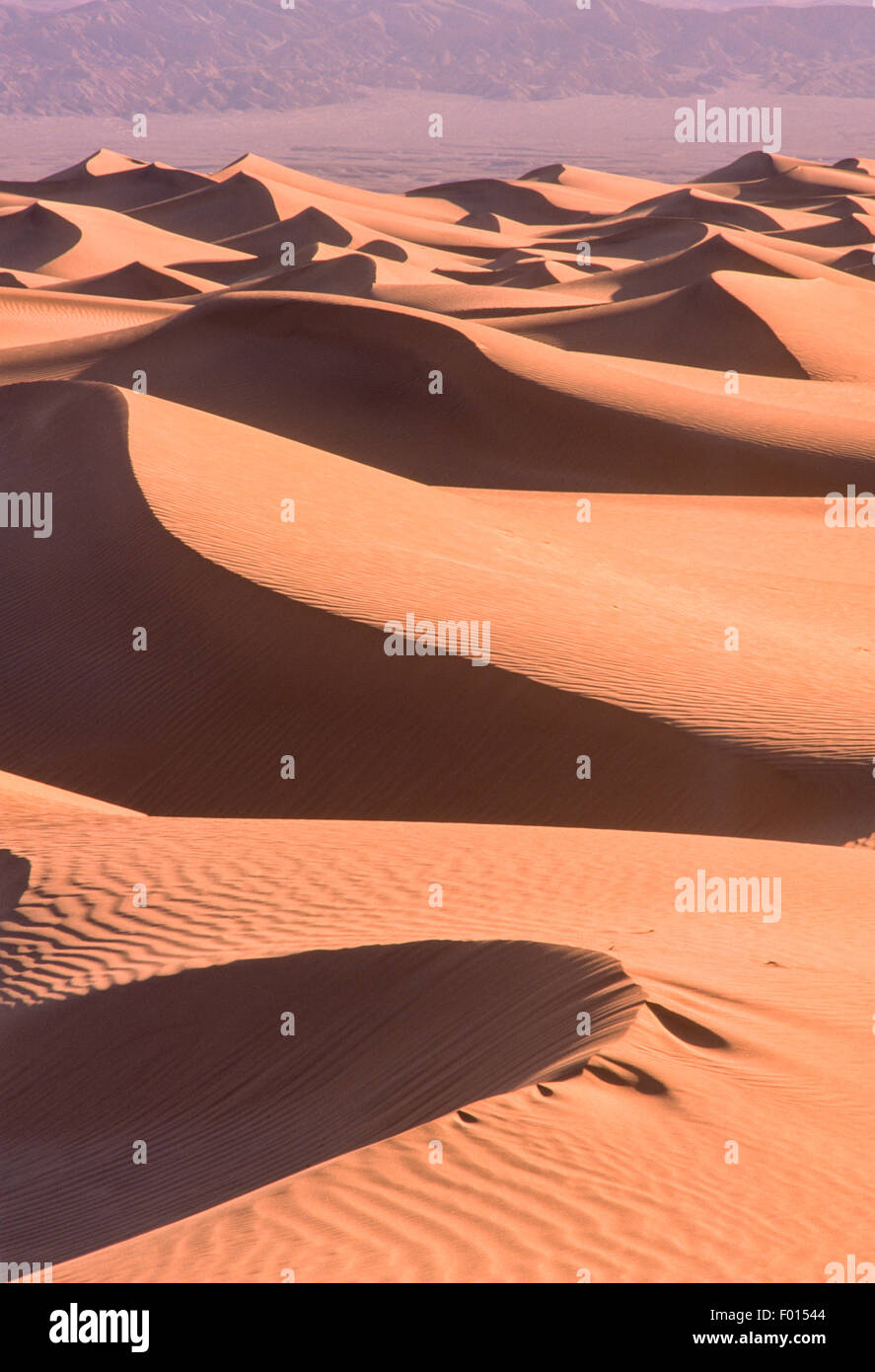 Mesquite flache Sanddünen, Death Valley Nationalpark, Kalifornien Stockfoto