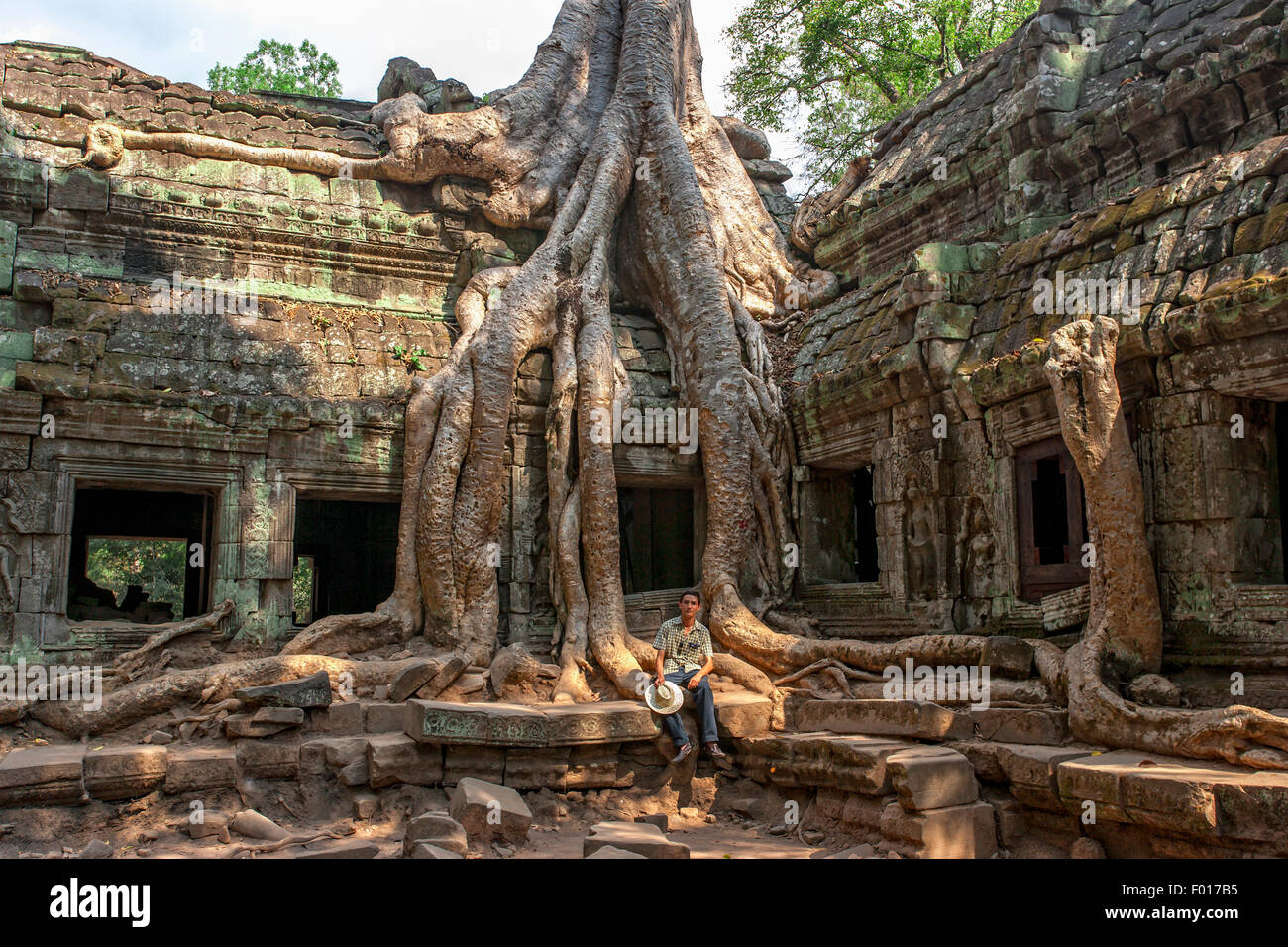 Würgefeige über wachsende Tempel in Ta Prohm Tempel, Kambodscha Stockfoto