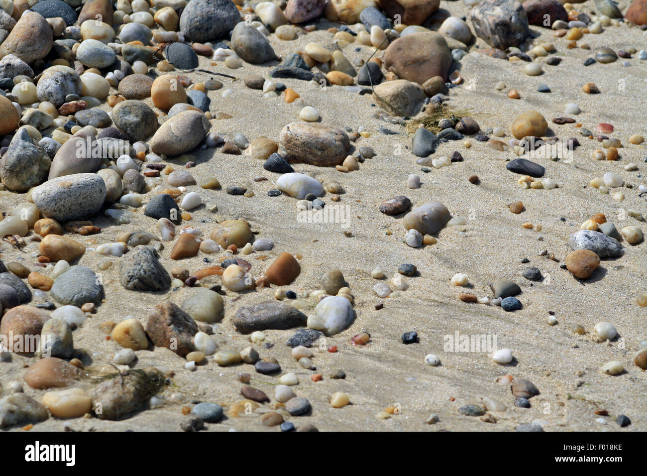 Bunte Strand Steinen auf Sandy Bay Shore Gardiners Bucht Long Island New York Stockfoto