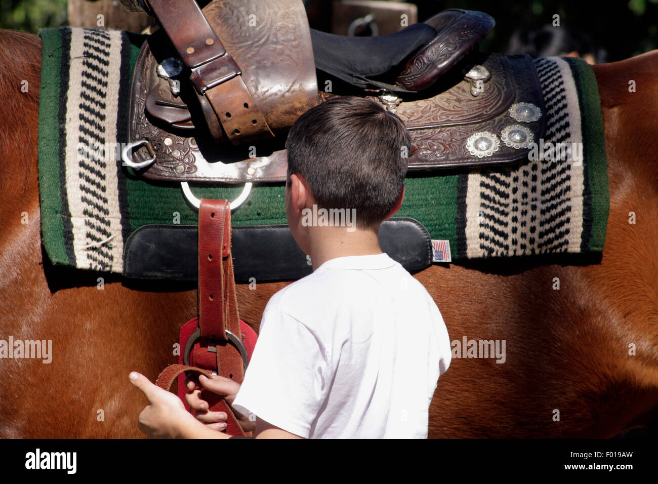 Junge, frech und Sicherung der Sattel auf rotes Pferd Vorbereitung zur Fahrt Stockfoto
