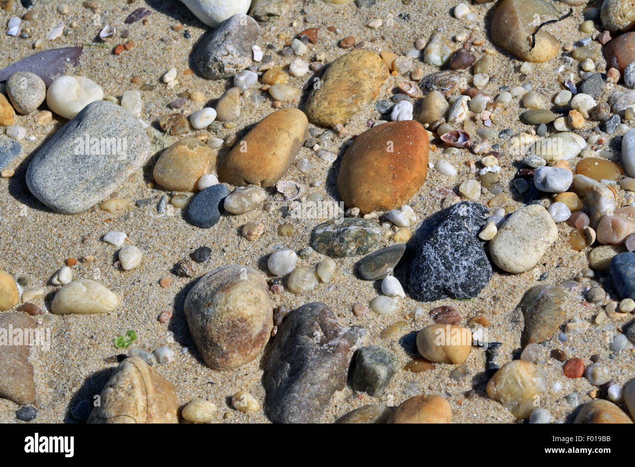 Closeup bunte Strand Steinen auf Sandy Bay Shore Gardiners Bucht Long Island New York Stockfoto