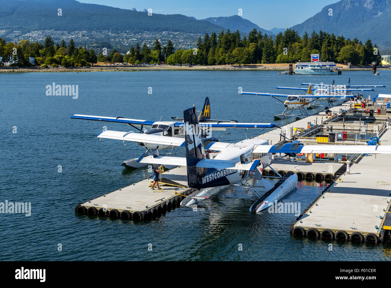Wasserebenen, Coral Hafenviertel hinter, Vancouver, Britisch-Kolumbien, Kanada Stockfoto