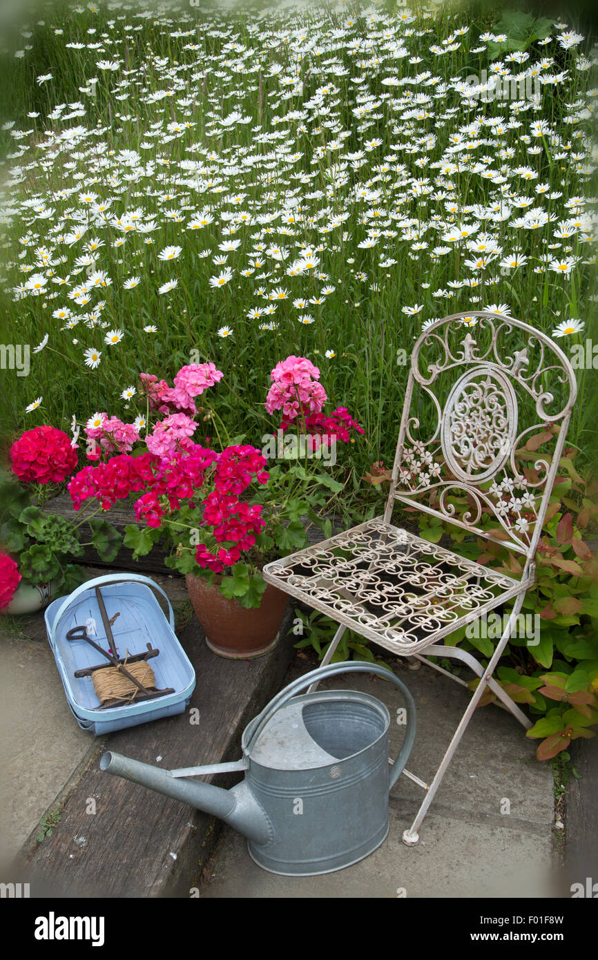 Garten Stillleben mit Blumen, Trug Gießkanne und Stuhl Stockfoto