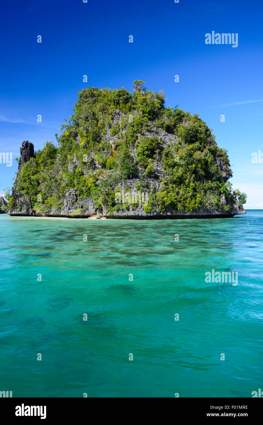 Vegetation bedeckt Karst-Felsen-Insel umgeben von Korallenriffen, Misool Region, Raja Ampat, Indonesien, Pazifischer Ozean Stockfoto