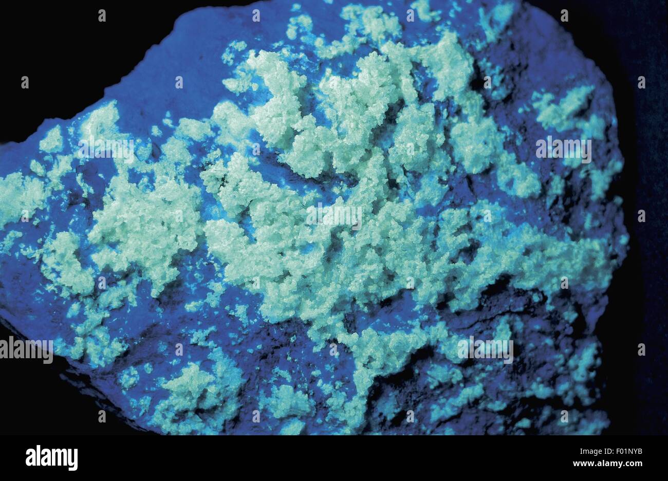 Mineralien: Jalite. UV-Licht Stockfoto