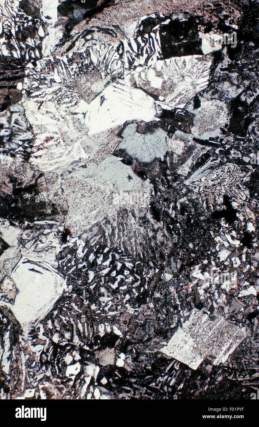 Quarz, Oxid und Alkali Feldspat unter dem Mikroskop. Stockfoto