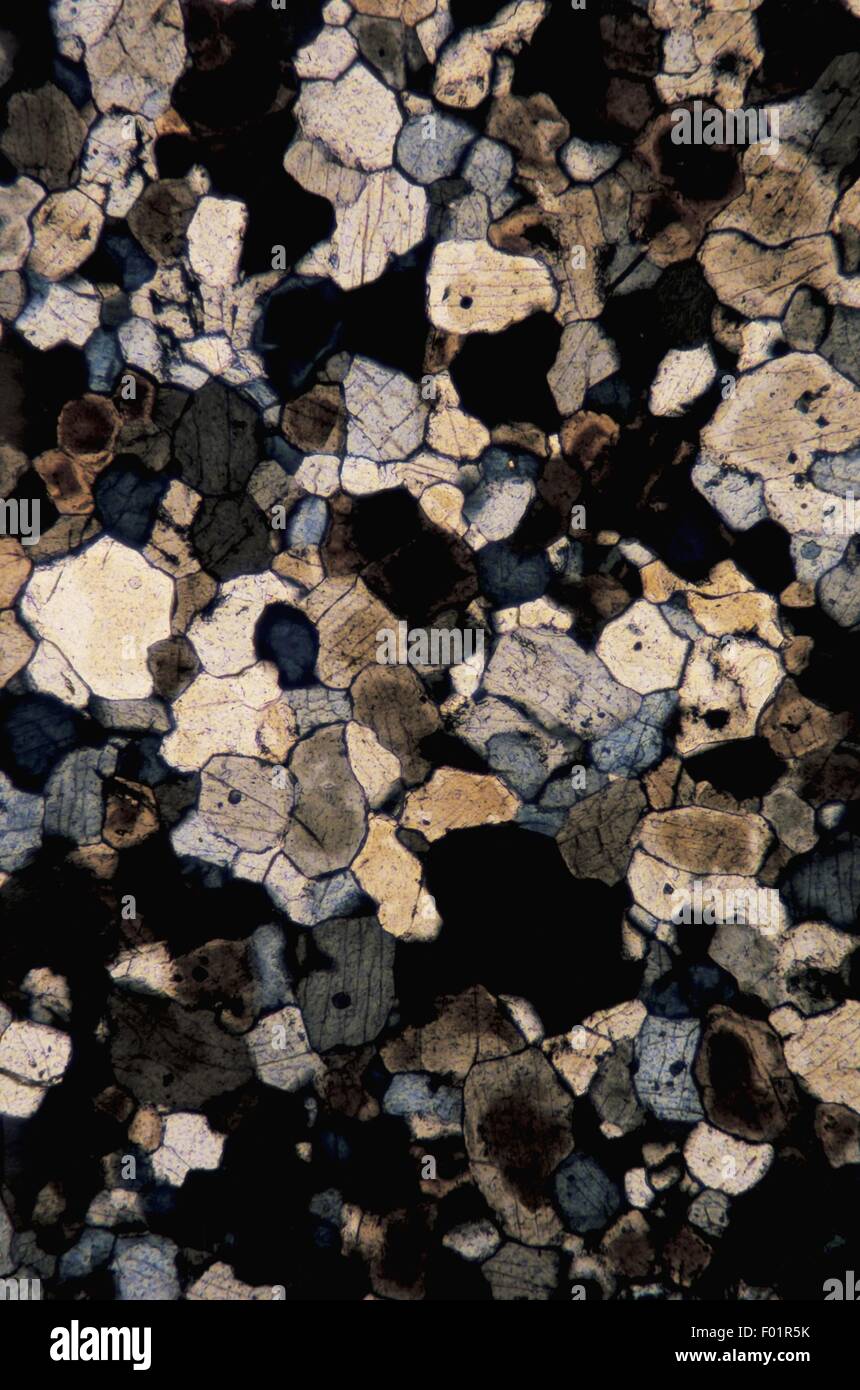 Mineralien: Dünne Abschnitt, gekreuzten Nicols X100 X 1, 5 Stockfoto