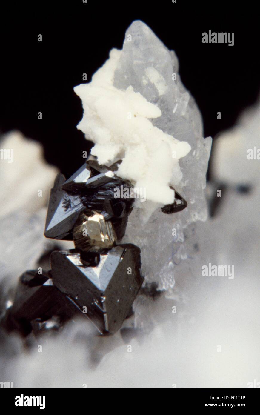 Tetrahedrite und Pyrit, Sulfide. Stockfoto