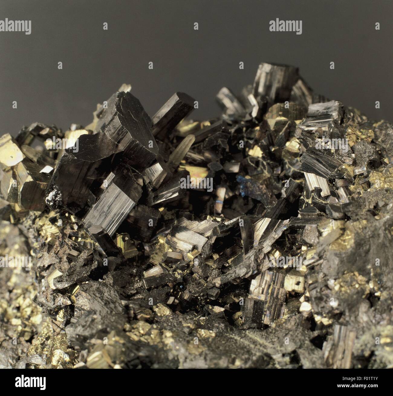 Mineralien: Enargite (Kupfer-Arsen-Sulfide) mit Pyrit (Eisen Sulfid) Stockfoto