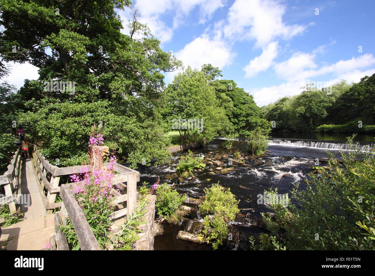 Ein Holzsteg überspannt den Fluss Derwent von Bamford Mill und Weir (im Bild) in Bamford Dorf, Peak District, England uk Stockfoto