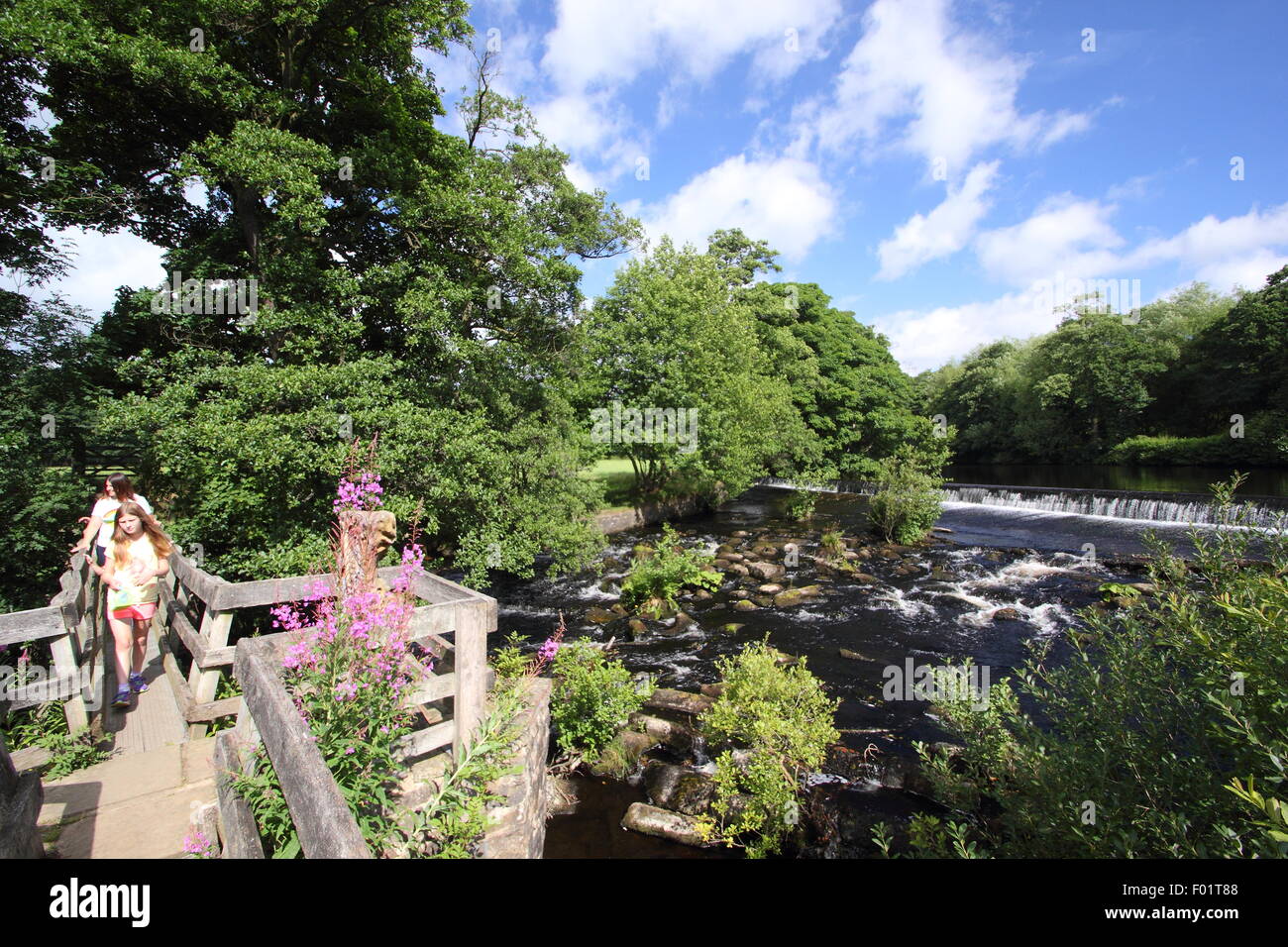 Ein Holzsteg überspannt den Fluss Derwent von Bamford Mill und Weir (im Bild) in Bamford Dorf, Peak District, England uk Stockfoto