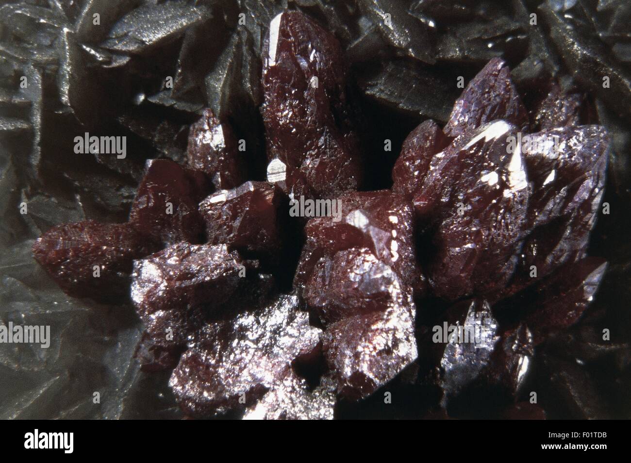 Mineralien: Proustite (Silbersulfid Arsen) Stockfoto