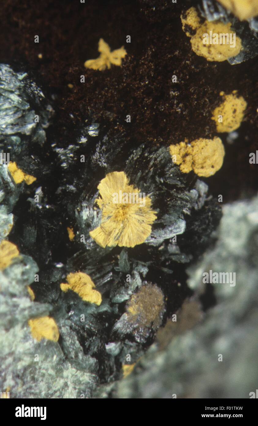 Mineralien - Calcosiderite, Nahaufnahme Stockfoto