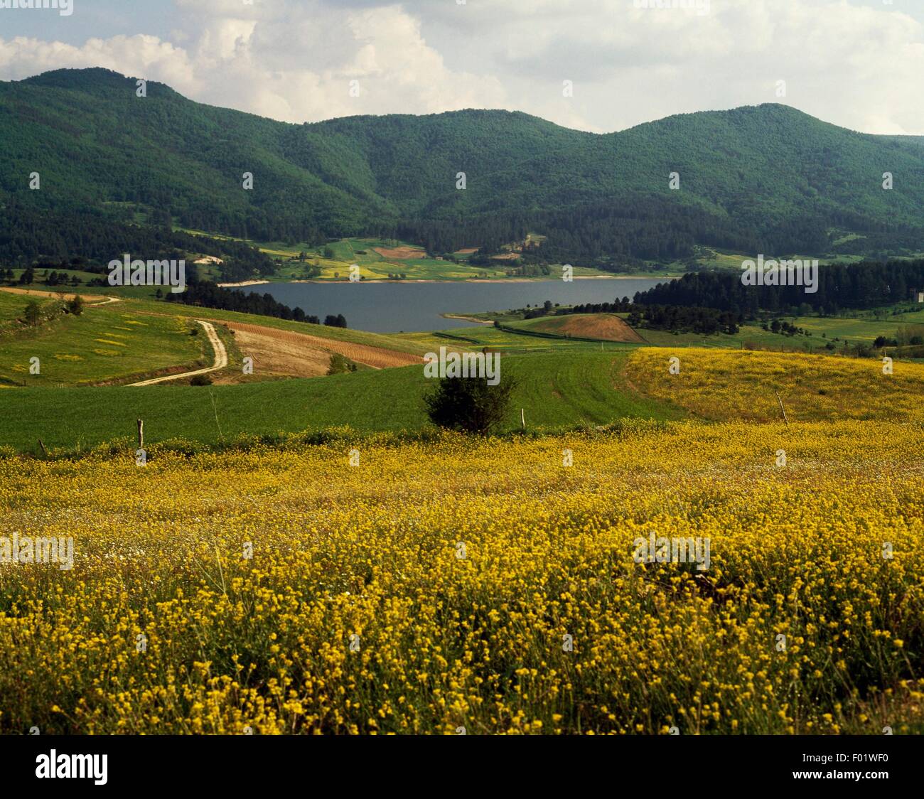 See Arvo, die größere Sila Sila Nationalpark, Kalabrien, Italien. Stockfoto