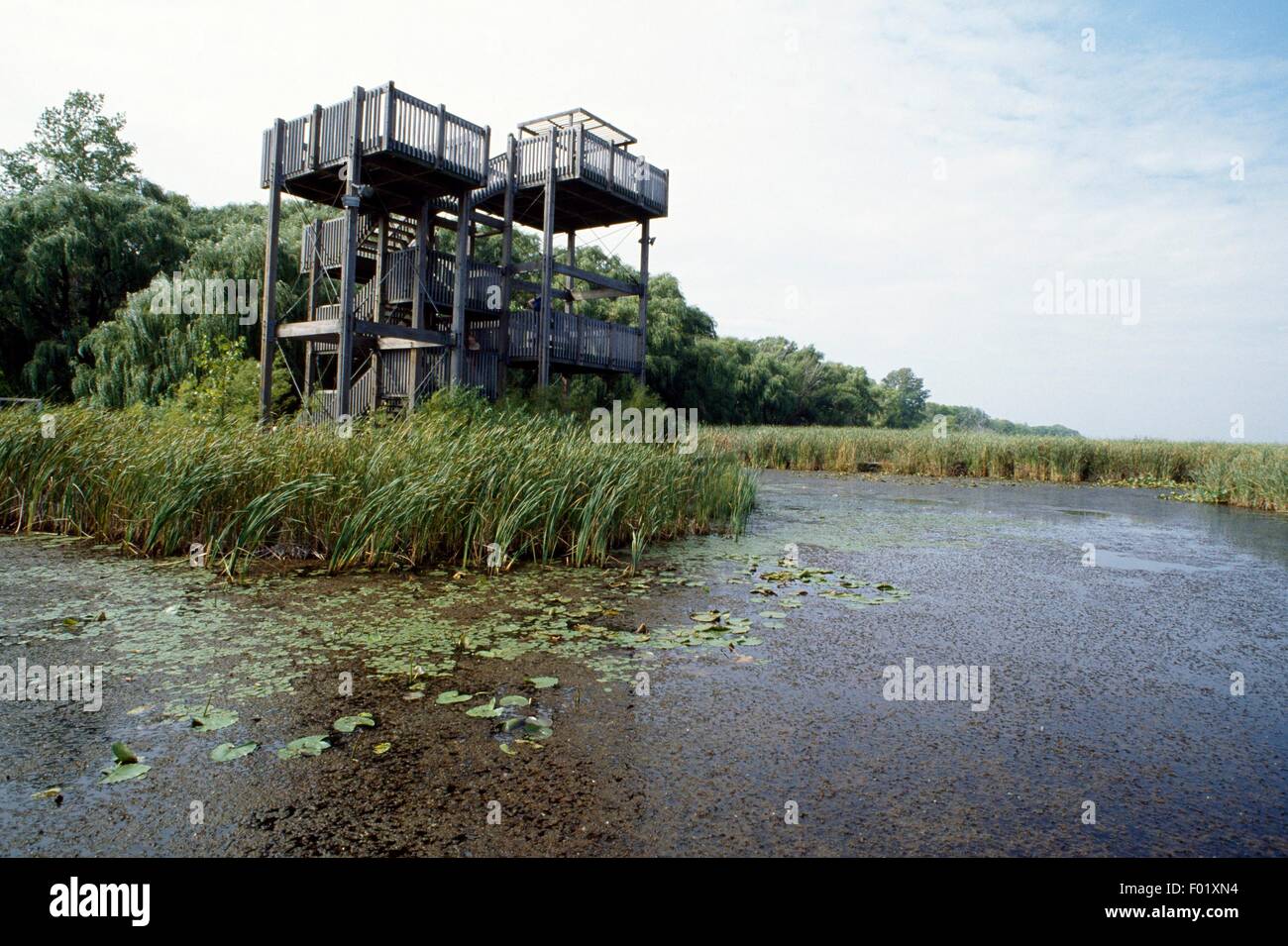 Point Pelee National Park, Ontario, Kanada. Stockfoto