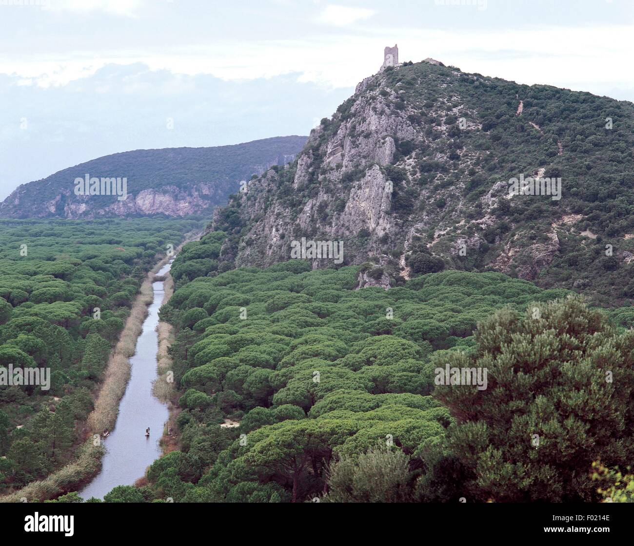 Scoglietto Collelungo Kanal und der großherzoglichen Kiefernwald mit Castel Marino Turm im Hintergrund, Regionalpark Maremma, Toskana, Italien. Stockfoto