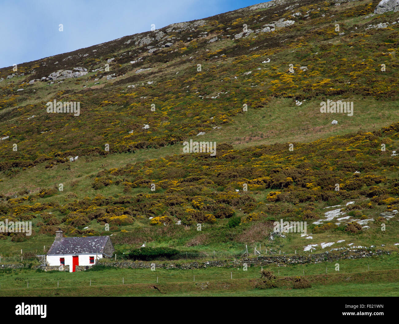 Carreg Bach einstöckige traditionelle walisische Hütte, Bardsey Island, Gwynedd, ENE mit Mynydd Enlli nach hinten ansteigende suchen. Stockfoto