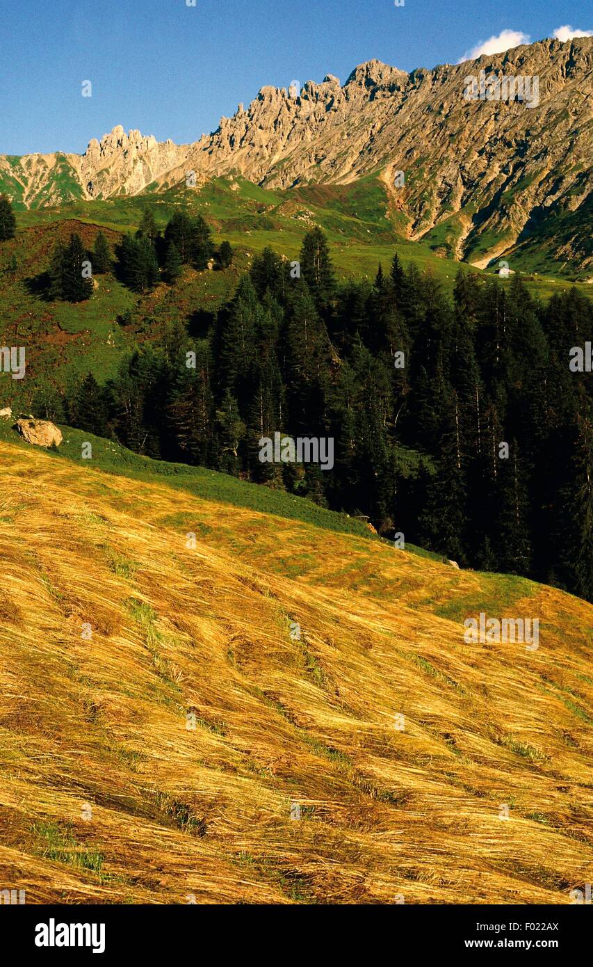 Seiser Alm, Naturpark Schlern-Rosengarten, Dolomiten, Trentino-Alto Adige, Italien. Stockfoto