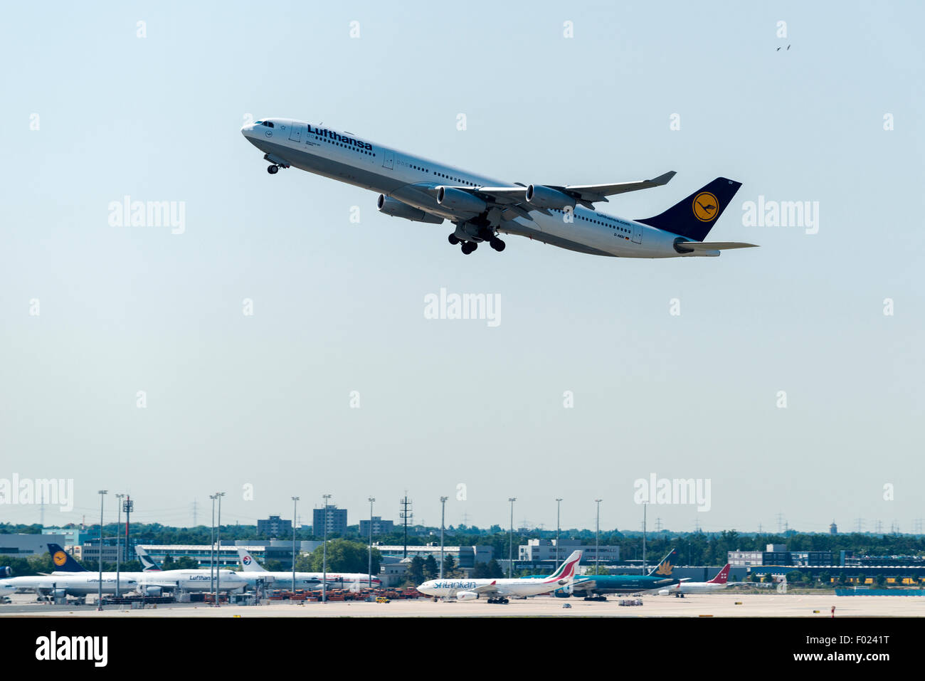 Der Airbus A340-300 Dinslaken der Fluggesellschaft hebt Lufthansa am Flughafen Frankfurt, Frankfurt-Main, Hessen ab Stockfoto