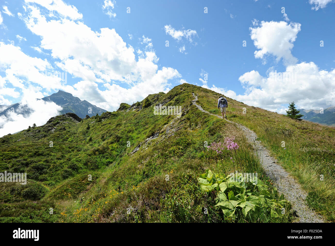 Wanderer auf der Glaser Grat in den Schweizer Alpen Kantons Graubündens. Stockfoto