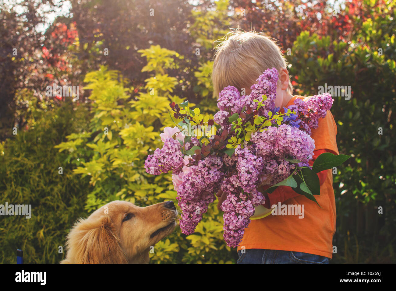 Junge mit Blumen, Hund sah ihn Stockfoto