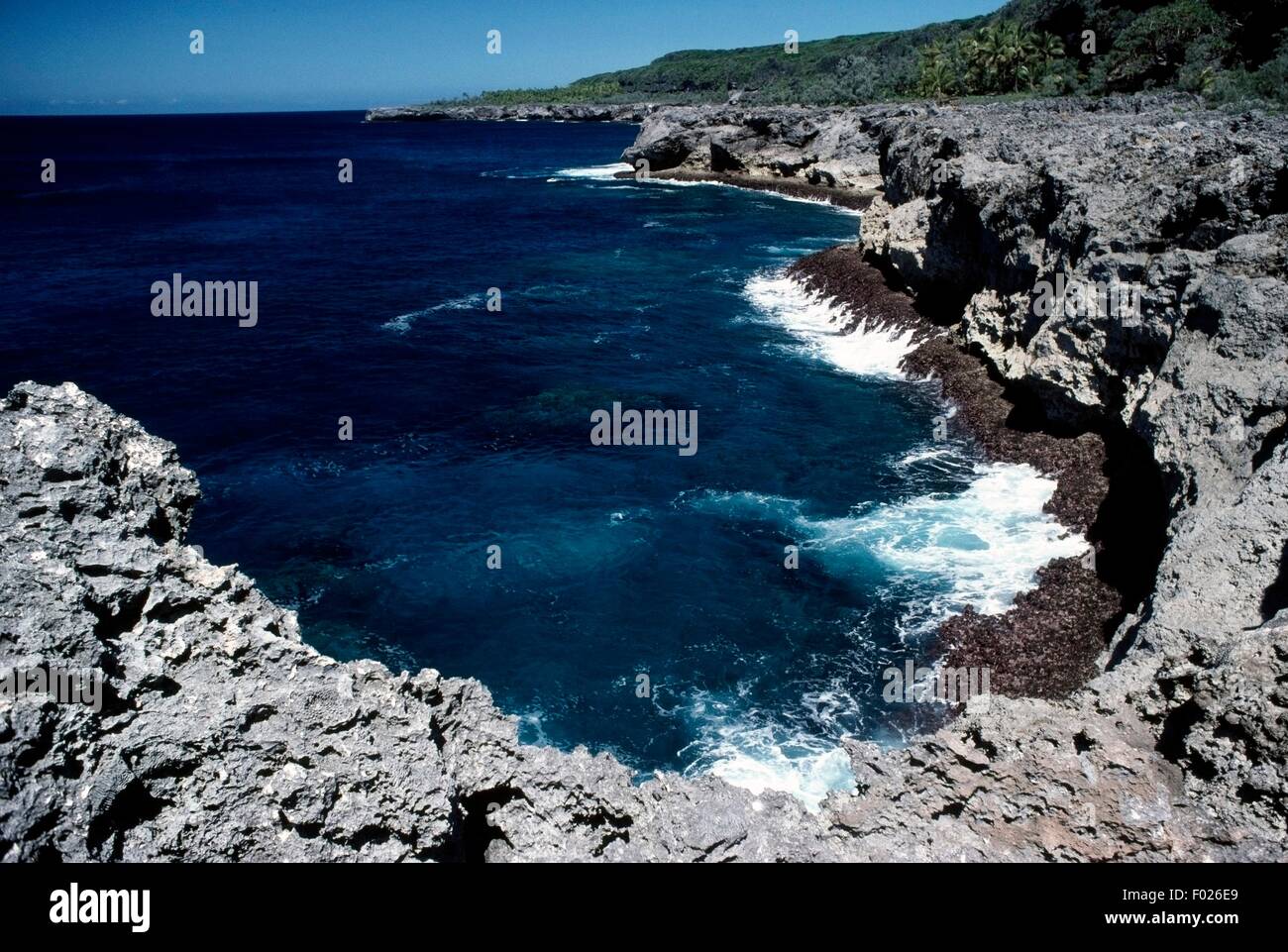 Vulkanischen Küste, Cap des Pins, Lifou, Loyalty Islands, Neukaledonien (Überseegebiet der französischen Republik). Stockfoto