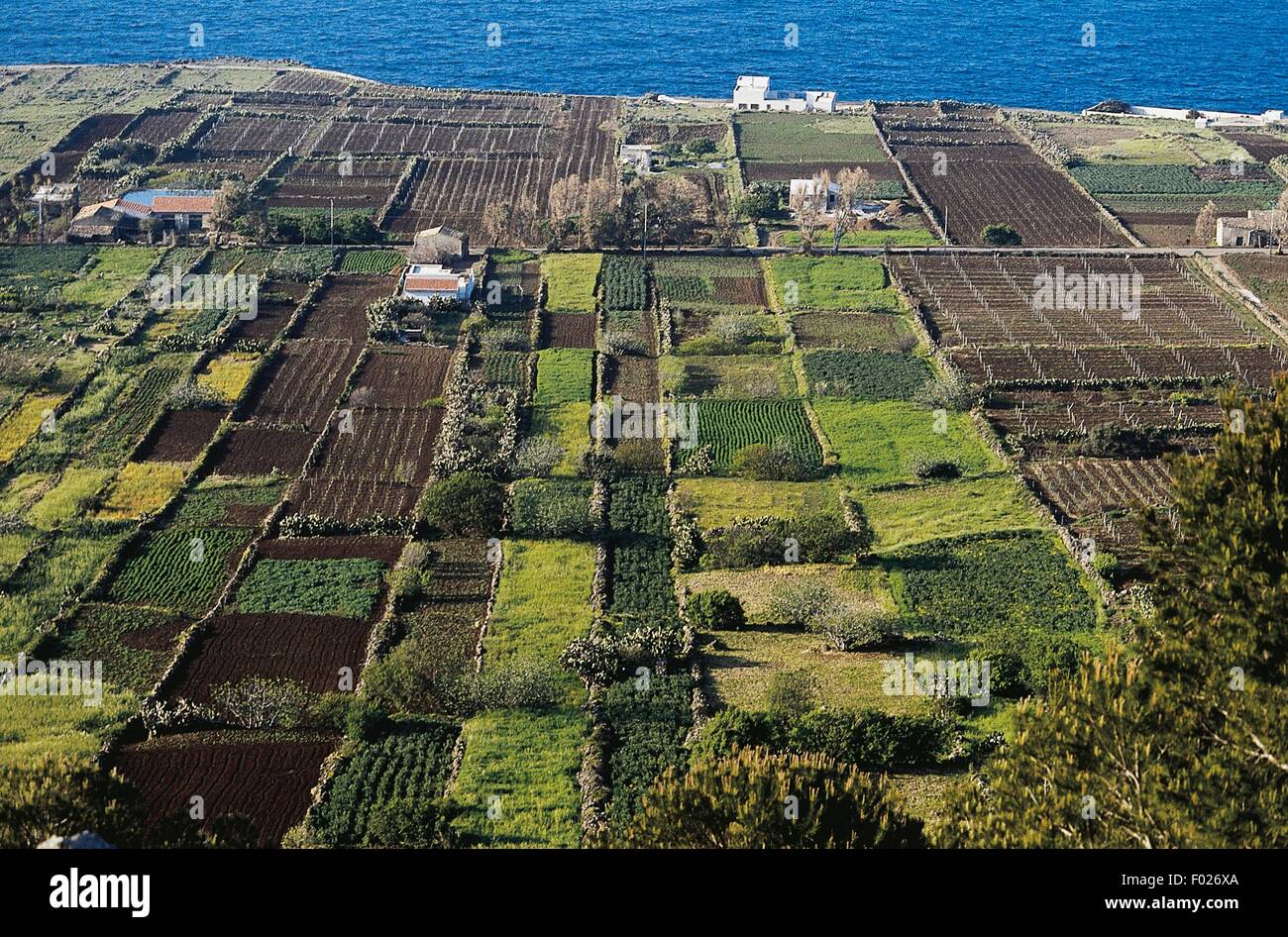 Agrarlandschaft Auf Der Insel Ustica Sizilien Italien Stockfotografie Alamy