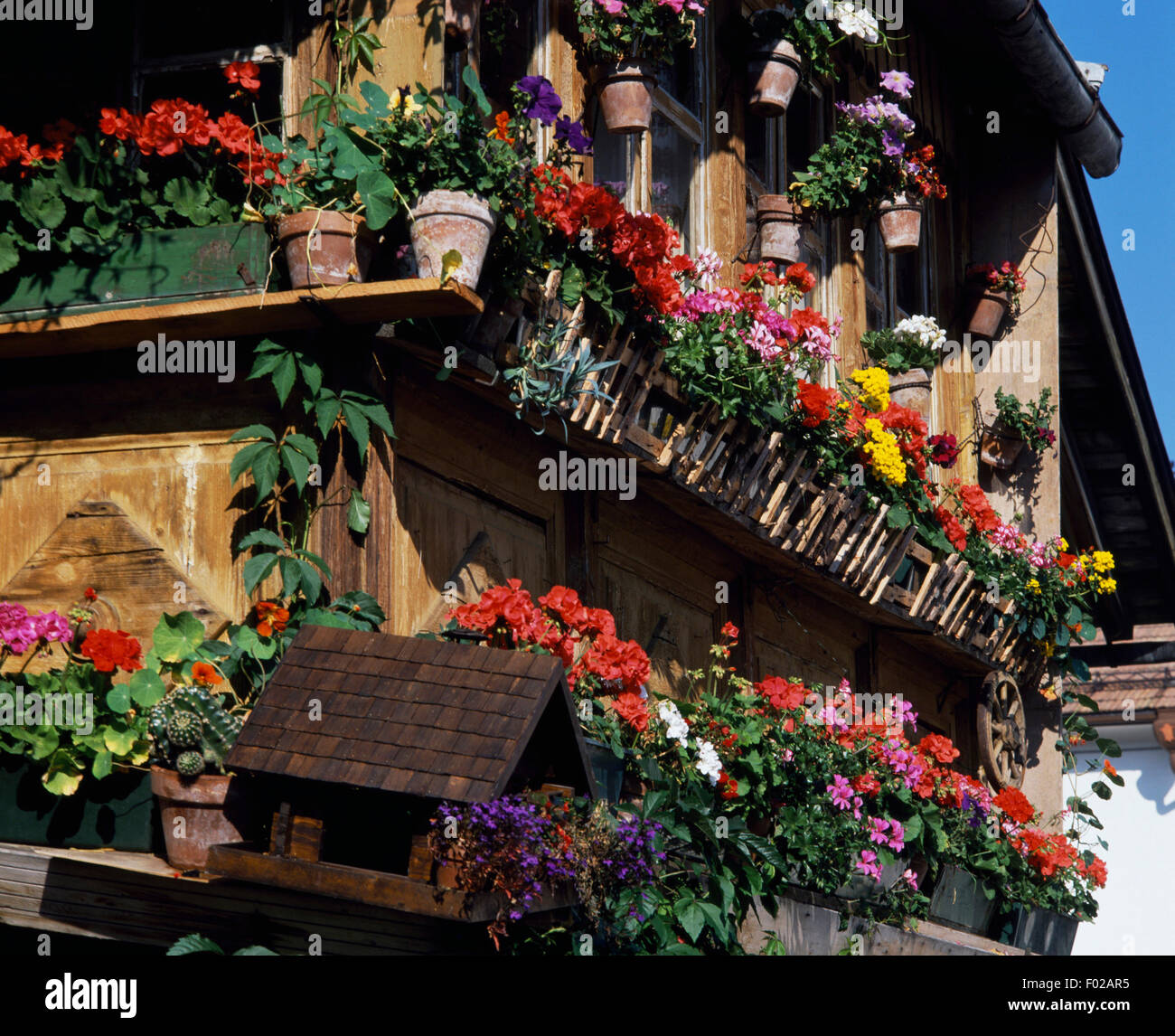 Balkone mit Blumenkästen, Provinz Bozen, Trentino-Alto Adige, Italien. Stockfoto