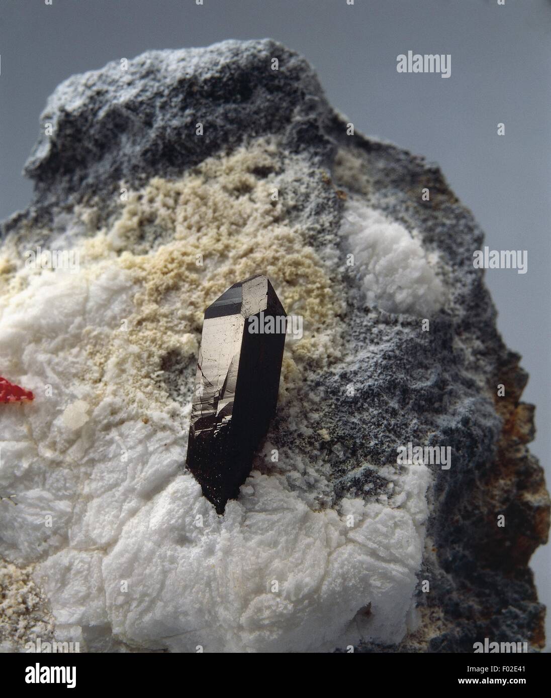 Mineralien: Neptunite (Natrium Lithium Eisen Mangan Titan Kaliumsilikat) Stockfoto
