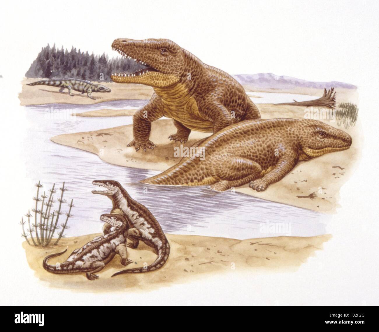 Palaeozoology Kreidezeit fossile Reptilien Ticinosuchus