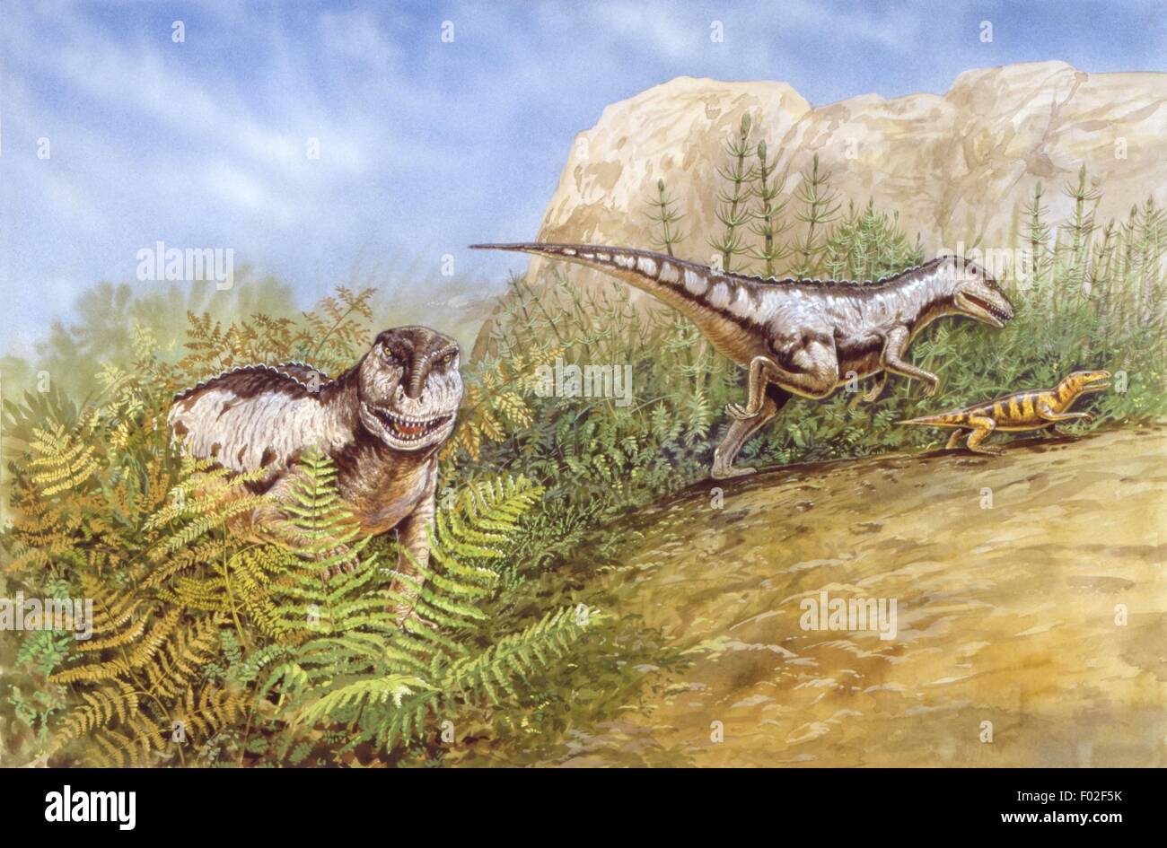 Palaeozoology - Trias - Dinosaurier - Euparkeria (Archosaurier) und Ericiolacerta (Therapsiden) - Kunstwerk von Tim Hayward Stockfoto
